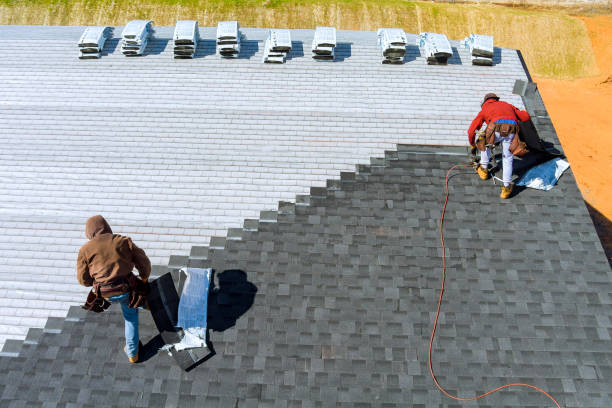 Best Roof Gutter Cleaning  in Cuthbert, GA