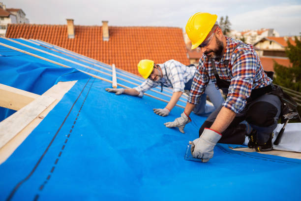 Best Storm Damage Roof Repair  in Cuthbert, GA