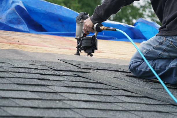 Gutter Installation and Roofing in Cuthbert, GA